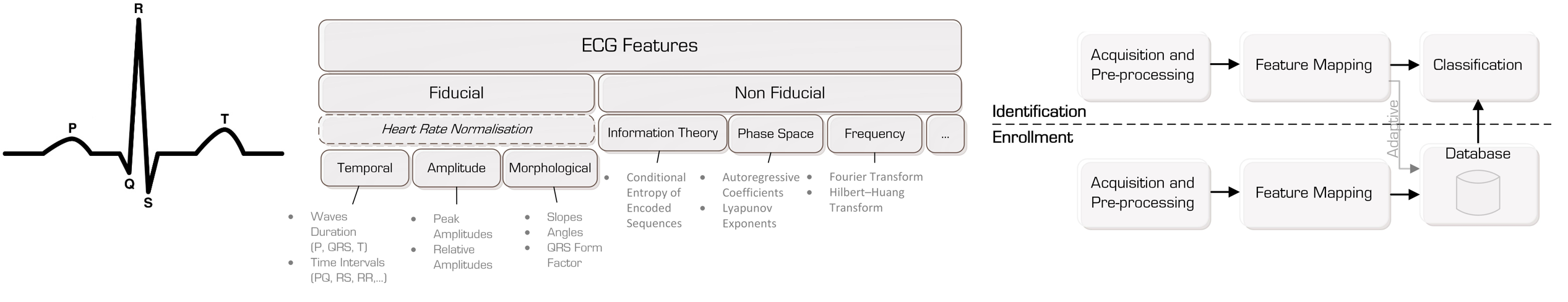 ECG-based Biometrics